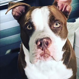 Meet your Posher, Esmeralda